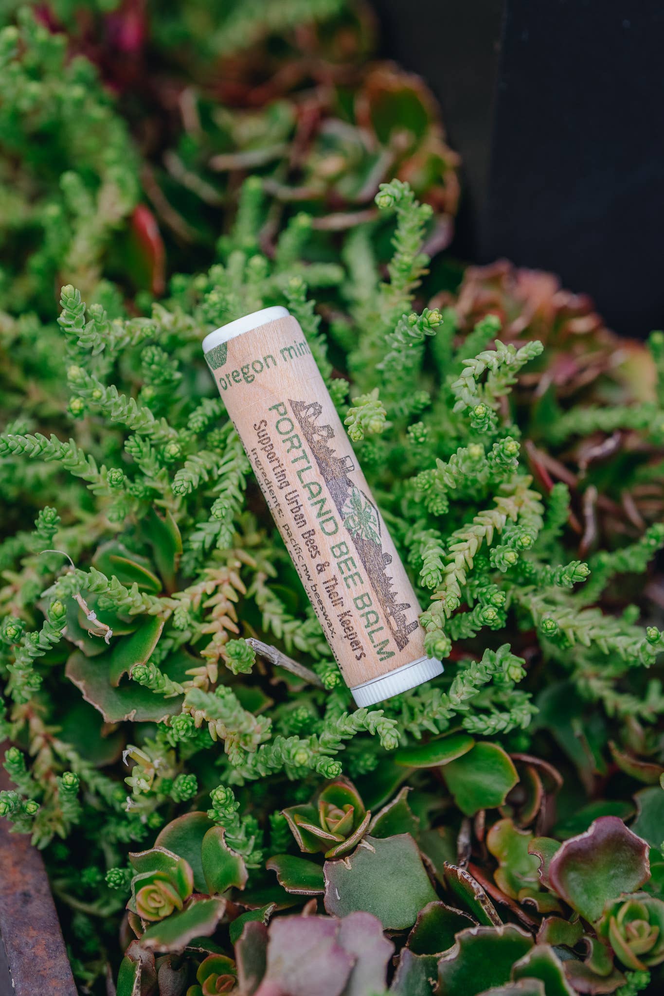 Portland Bee Balm- Oregon Mint Beeswax Lip Balm